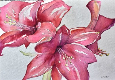 Aquarellbild einer voll erblühten Amaryllis in kräftigem Rot